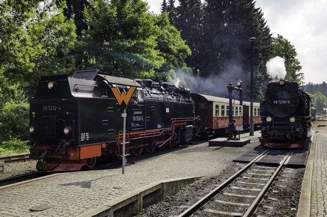 Ein Zug aus Nordhausen kommt in Drei Annen Hohne an